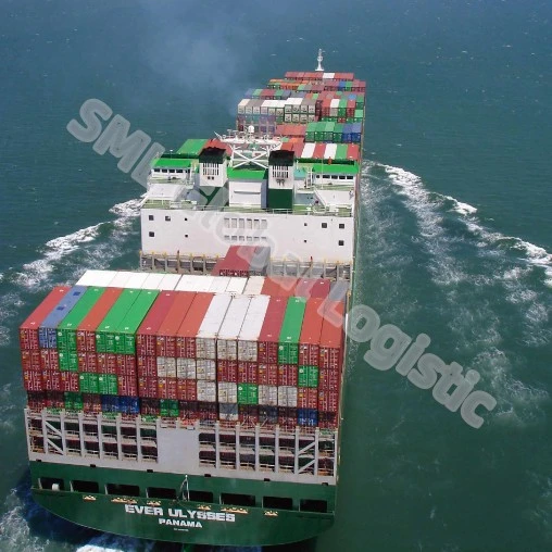 Door to Door Services Sea Freight Forwarder China Shipping Agent to Japan