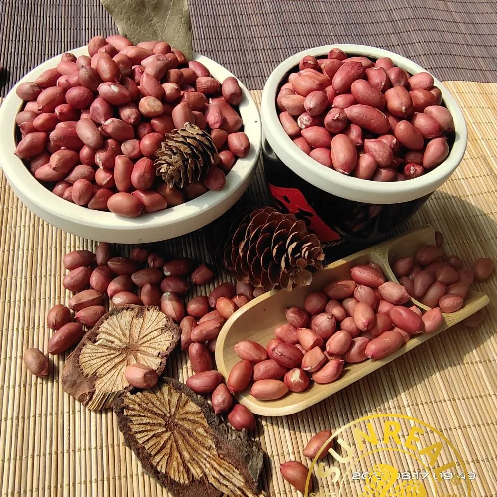 Raw Peanut Kernels/Red Skin/Superior Quality/All Size/Pukee Foods/Sunreal