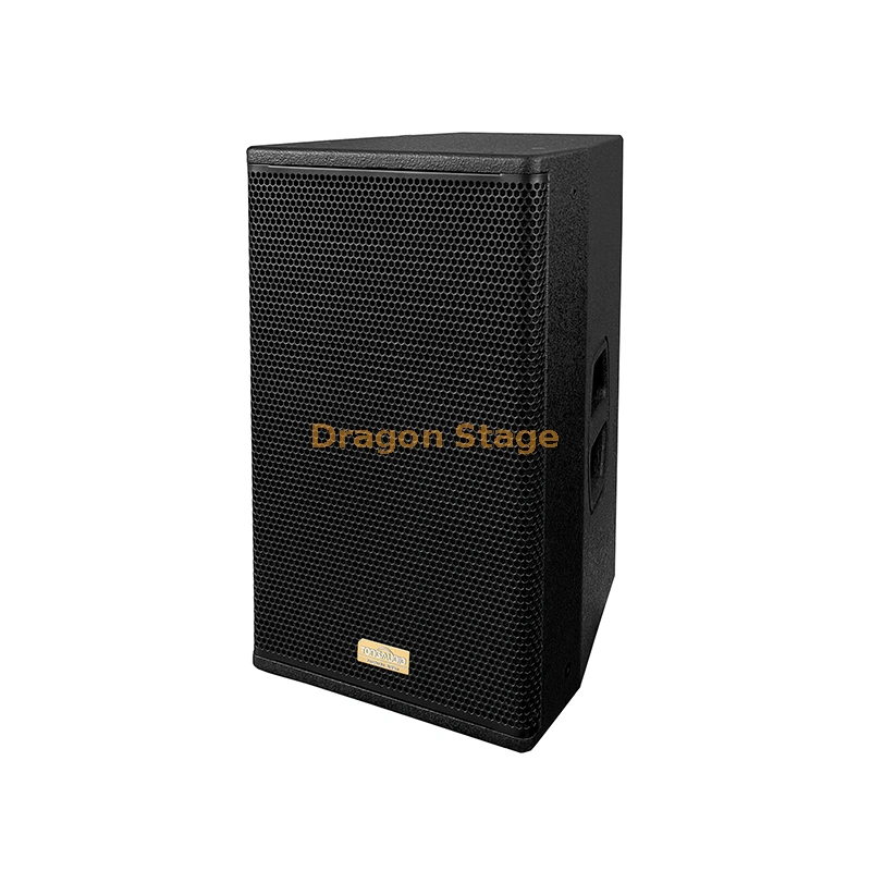 Dragonstage China Professional Audio Single 10 Inch 250W Club Concert Speaker