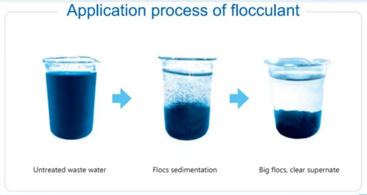 Polyacrylamide cationique anionique à haute viscosité poudre PAM polymère pour eau Produits chimiques de traitement