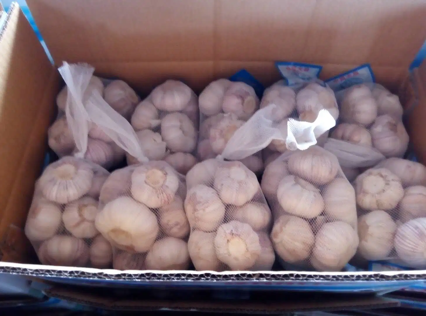 2023 New Crop Fresh White Garlic