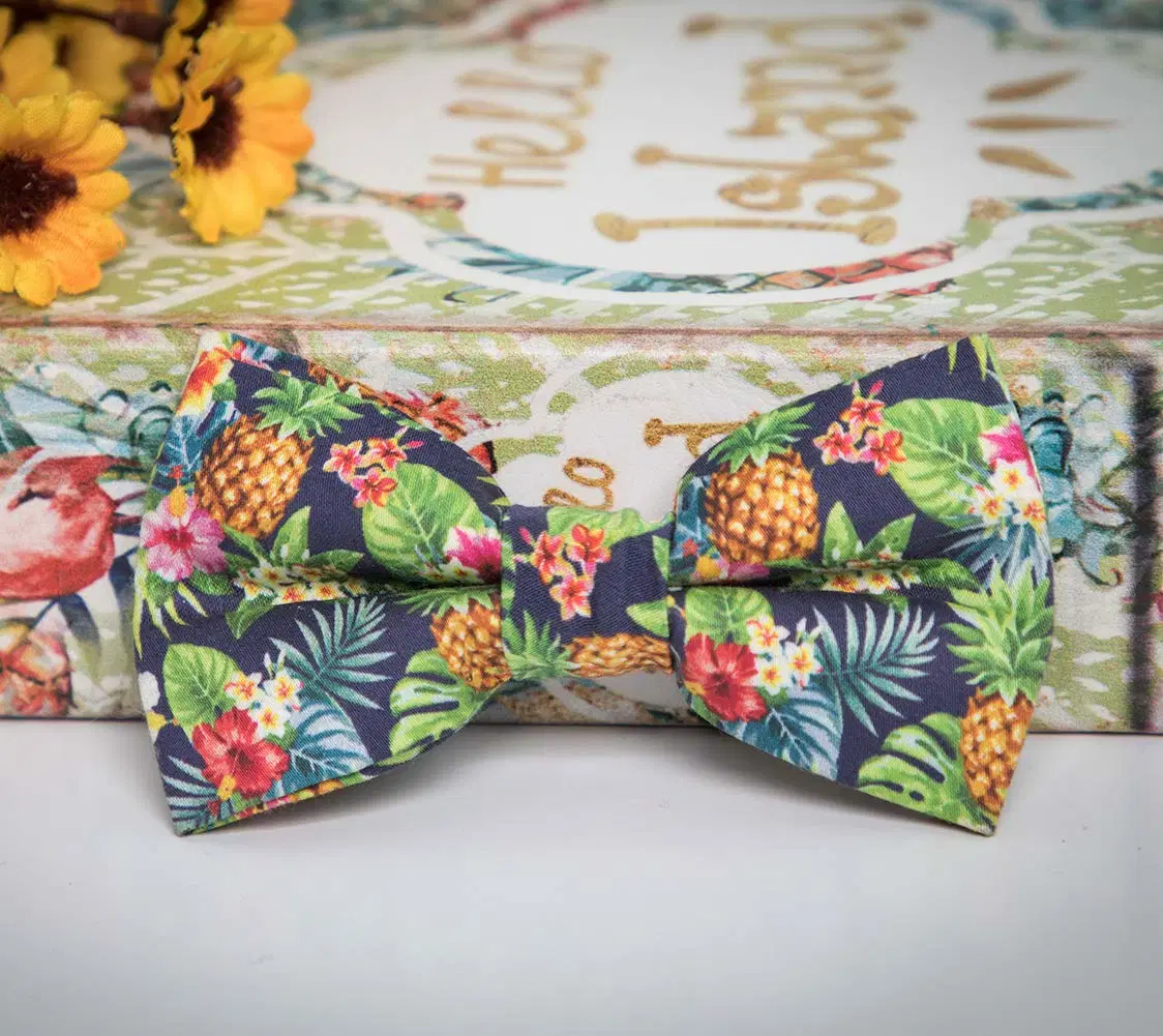 Stylish Custom Print Detachable Bow Tie Cat and Dog Collar