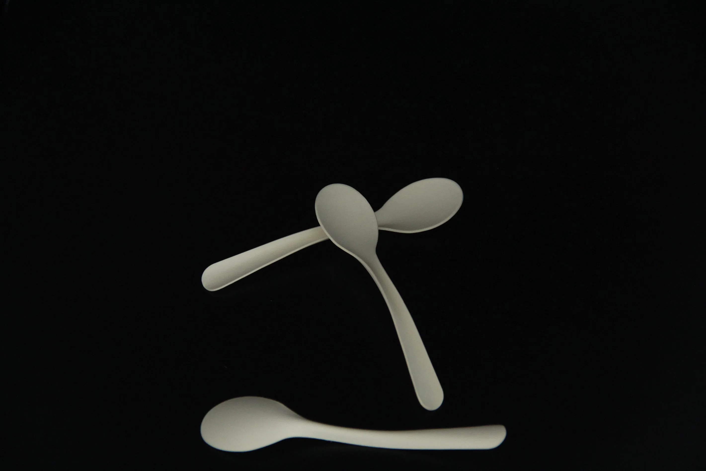 2023 Popular 100% Biodegradable Disposable Latest Product No-Plastic Compostable Cpla Spoon