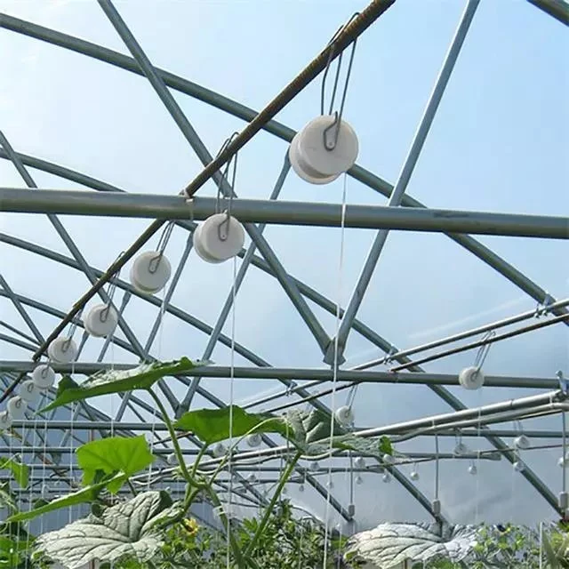 Greenhouse Rattan Hook with Roller Tomato Stem Hook Accessories Tomatoes M Hook Plants Clip Growing Support