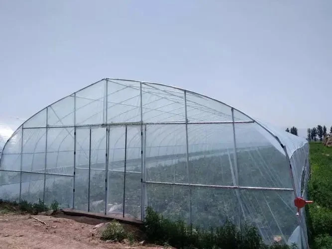 Landwirtschaftliche / kommerzielle Single Span / Günstige Tunnel / Gothic Kunststoff-Film hydroponic einfach und einfach Gewächshaus