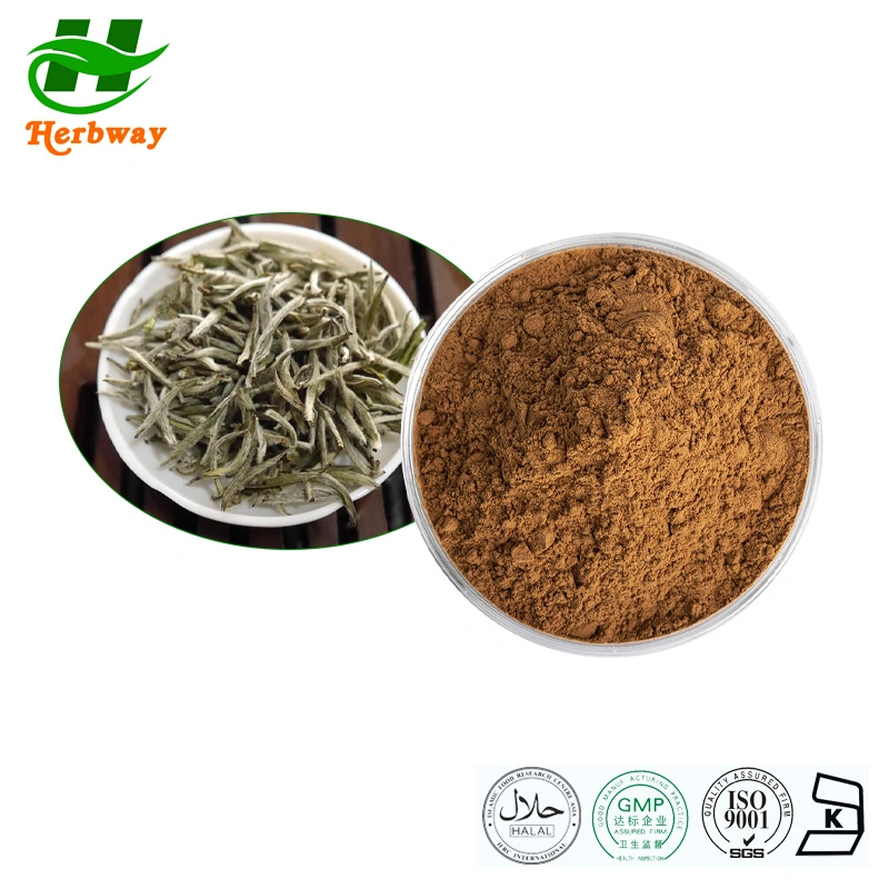 Herbway Kosher Halal Fssc HACCP Certified Plant Extract Health Care Products White Tea Powder