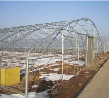 WMGH055 Energy saving multi-span greenhouse for flower