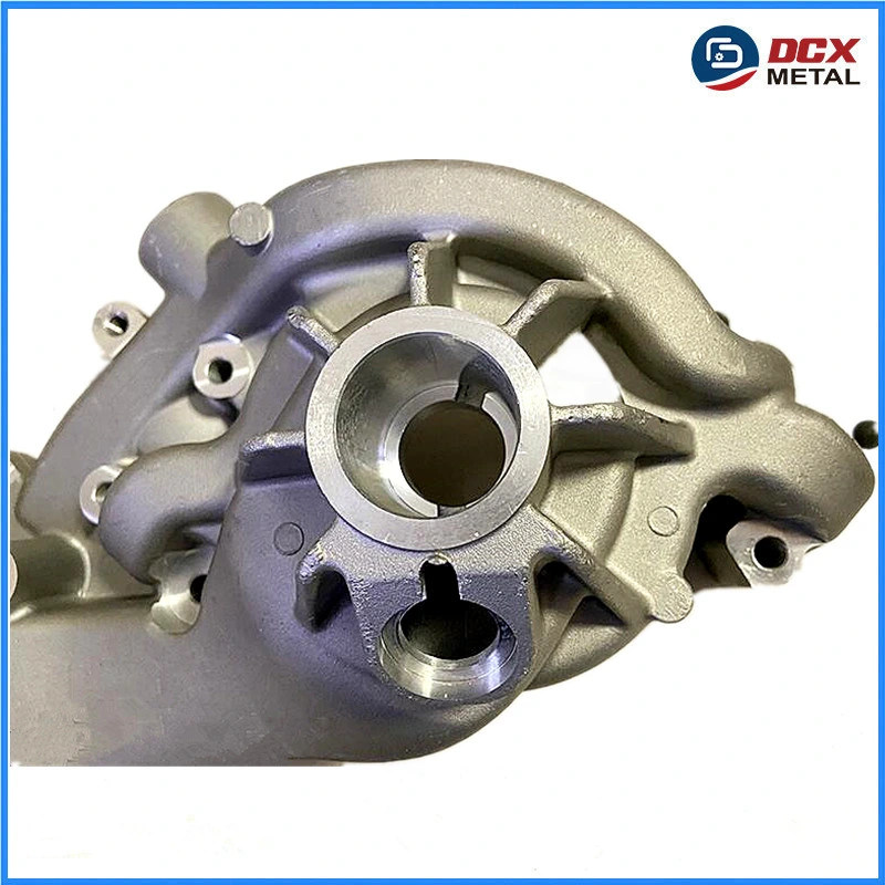 OEM Die Casting Parts Shell/Aluminum Alloy Cast Smooth Surface Pump Body