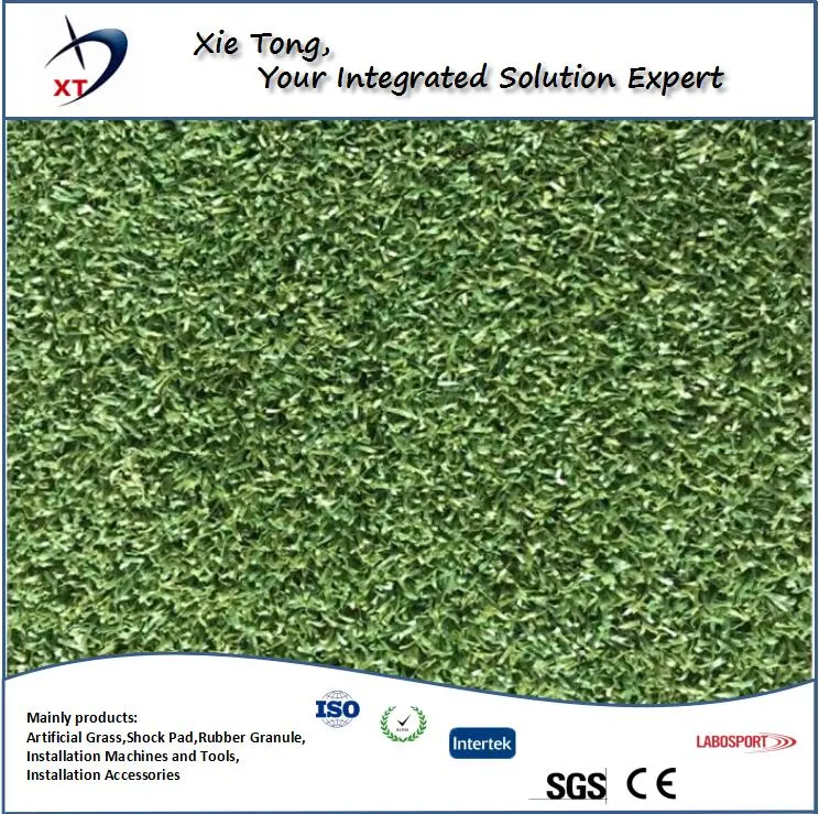 Fitness Gym 12mm 58800st PE Artificial Turf Grass Carpet