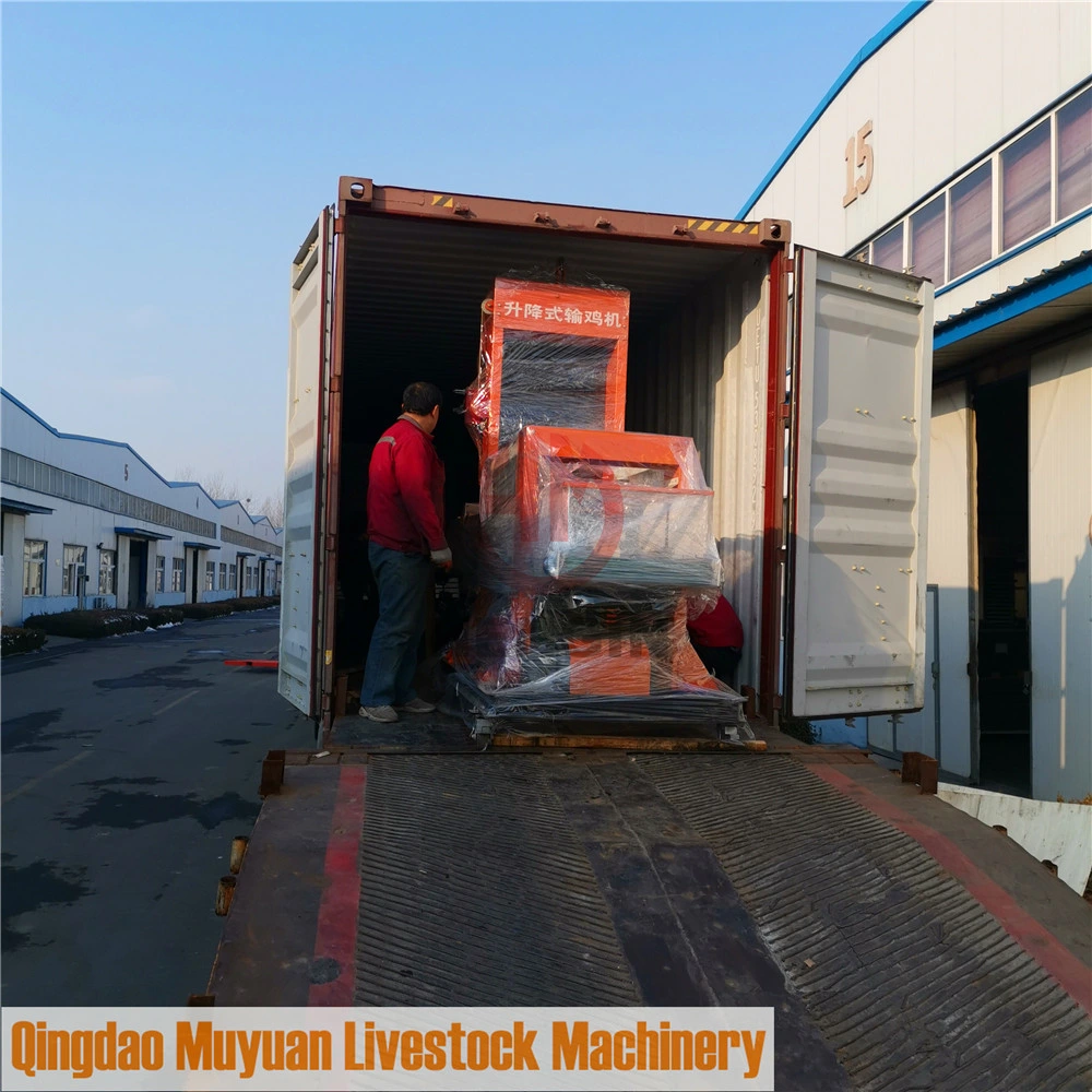 Automatic Bird-Harvesting Broiler Raising Cage System for Poultry Shed