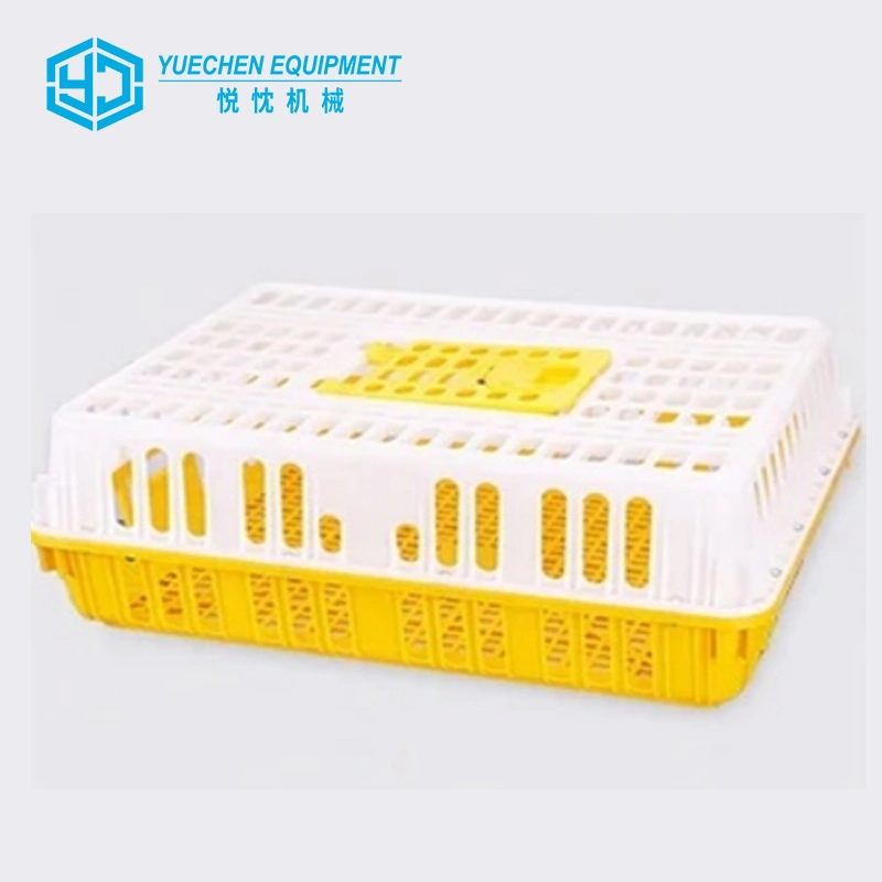 High quality/High cost performance  Plastic Transport Cage Chicken Crate Poultry Move Box Turnover Cages for Sale