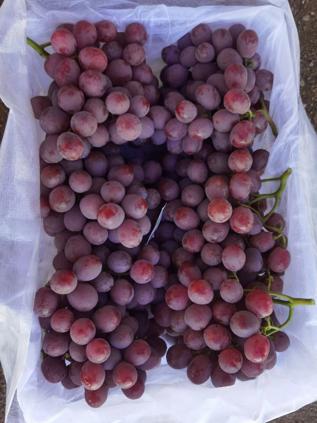 Hot Sell Fresh Sweet Chinese Red Grapes