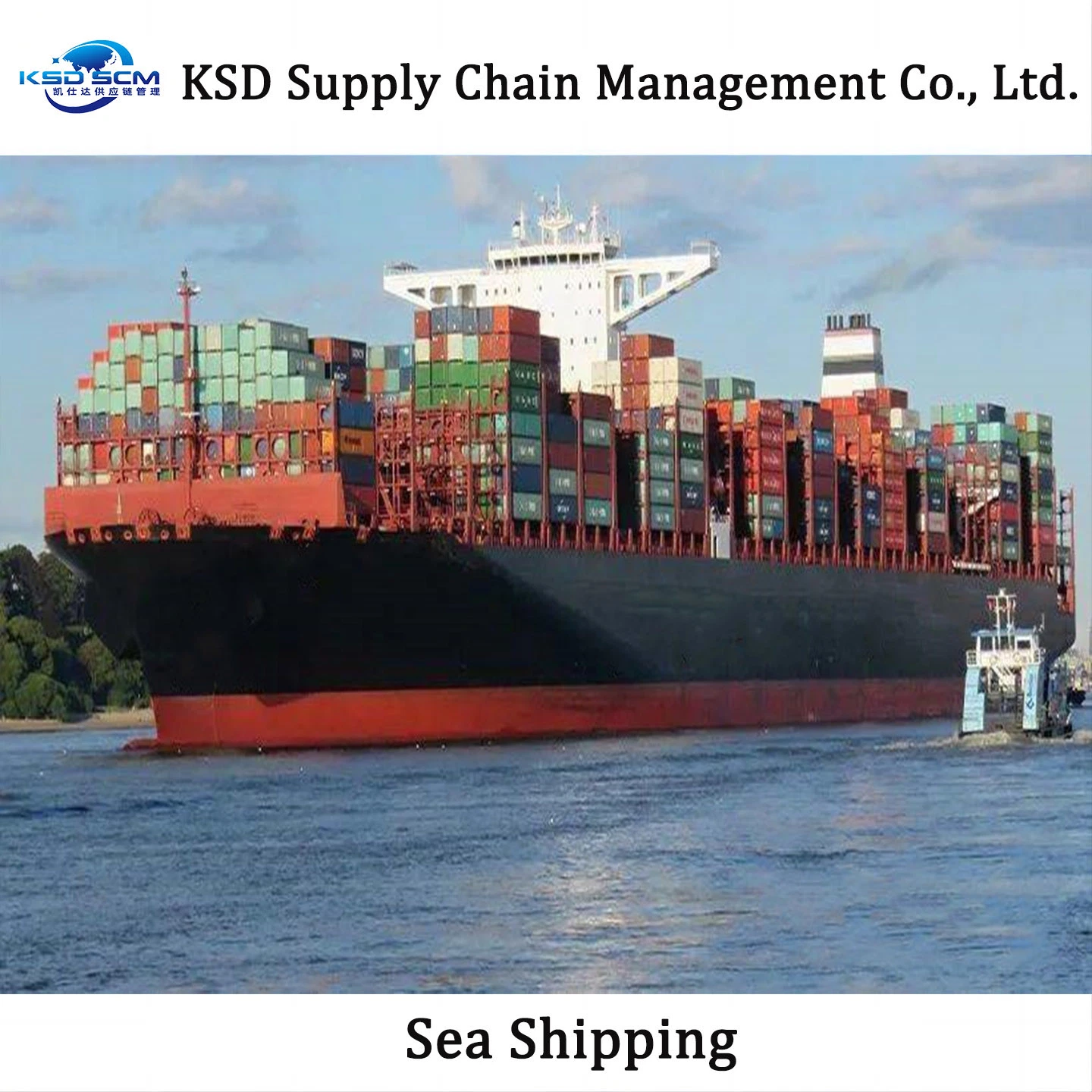 FCL LCL 20FT/40FT /40hq Container From China to Indian with Sea Shipping Air Shipping