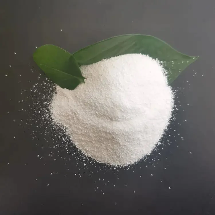 Food Grade Soda Ash Dense/Light Sodium Carbonate for Bread