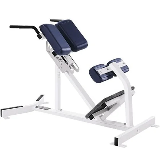 Sports Exercise Gym Fitness Free Weight Back Extension Roman Chair