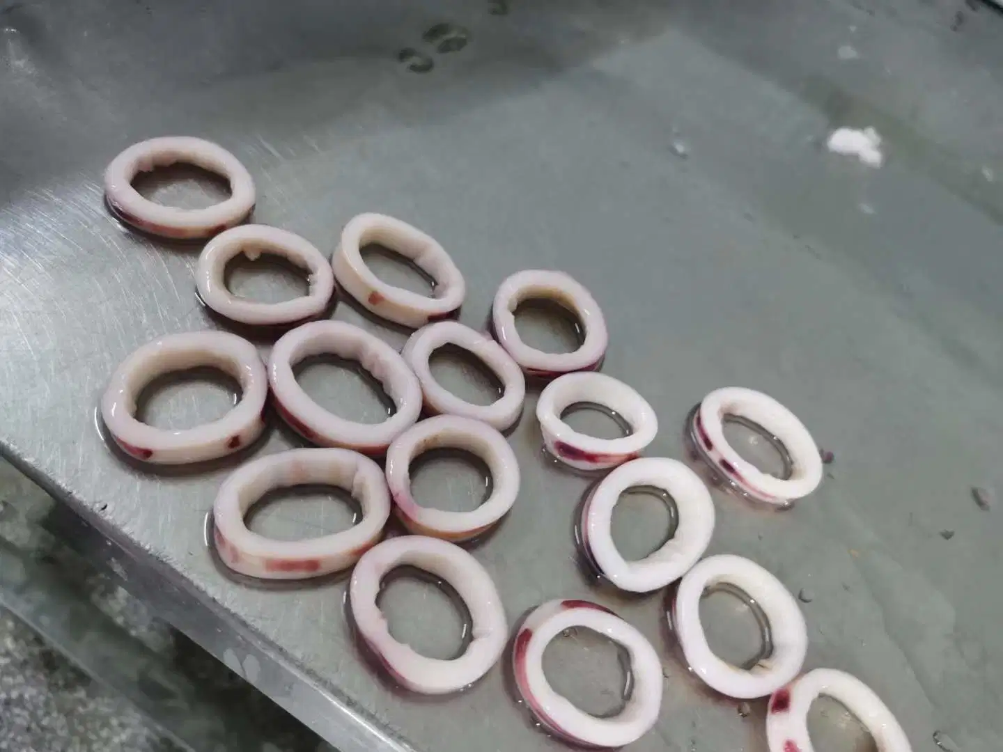 Squid Ring Squid Ring New Process Quality Fresh Seafood Squid Ring Frozen Squid