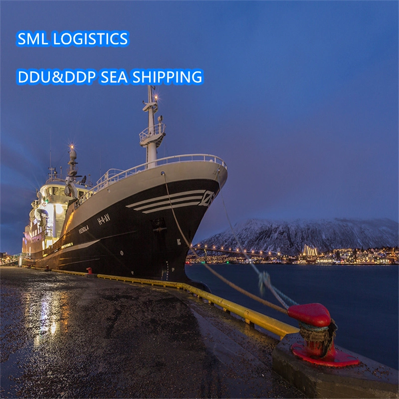 Forwarder/Agent to USA/UK/Italy/France/Egypt/Kuwait Fba Amazon Express Delivery by Air/Sea Cargo/Freight/Shipping Container LCL From China DDP Logistics Service