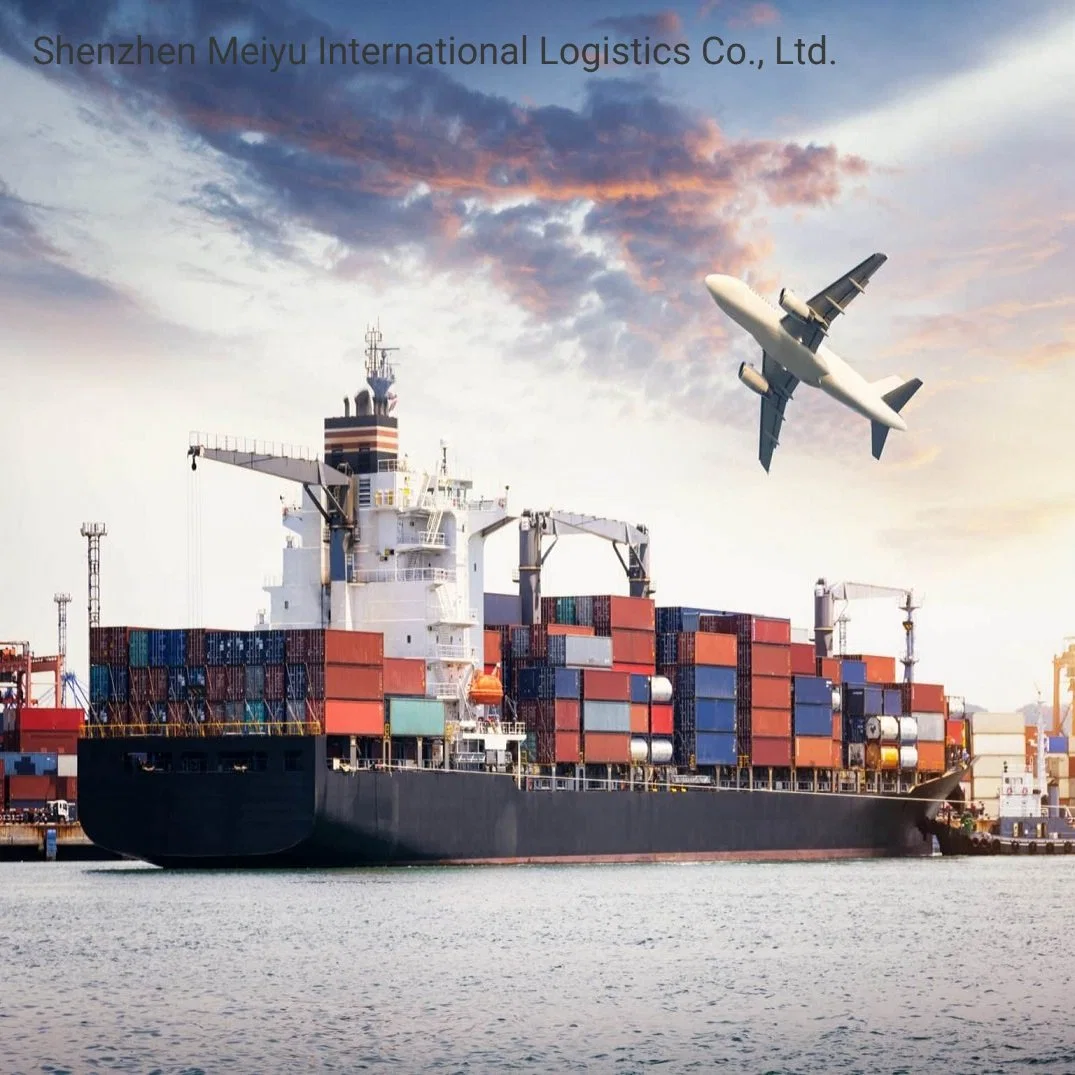 Professional DDP/DDU Sea Freight Shipping to Europe America Amazon