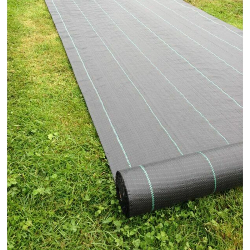 Toile de contrôle des mauvaises herbes en plastique noir pour la couverture du sol agricole en tissu PP