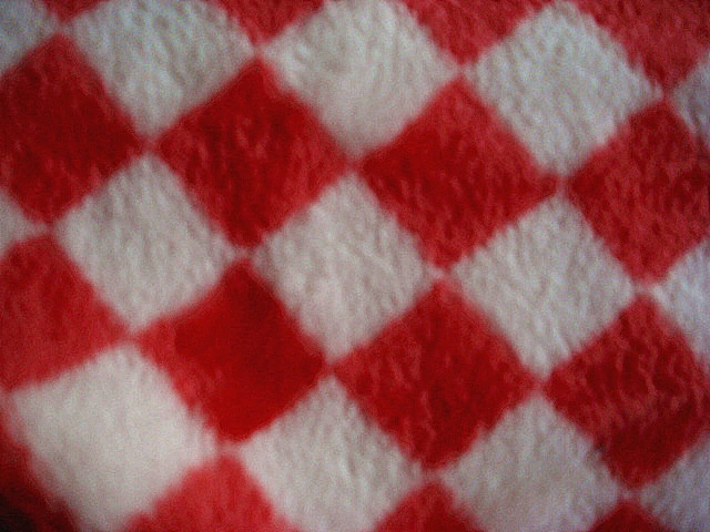 Print Flannel Double Side Fleece Knitting Fabric