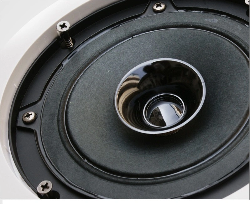 OEM Good Quality Lingyin ABS Fashion Impedance 8ohms in-Ceiling Speaker Lth-8315s 5" 20W for Music System