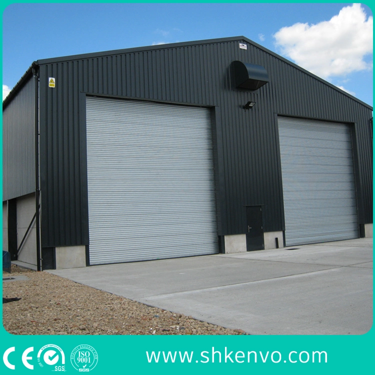 Industrial Overhead Electric Wind Lock Steel Rolling up Shutter for Factory or Garage