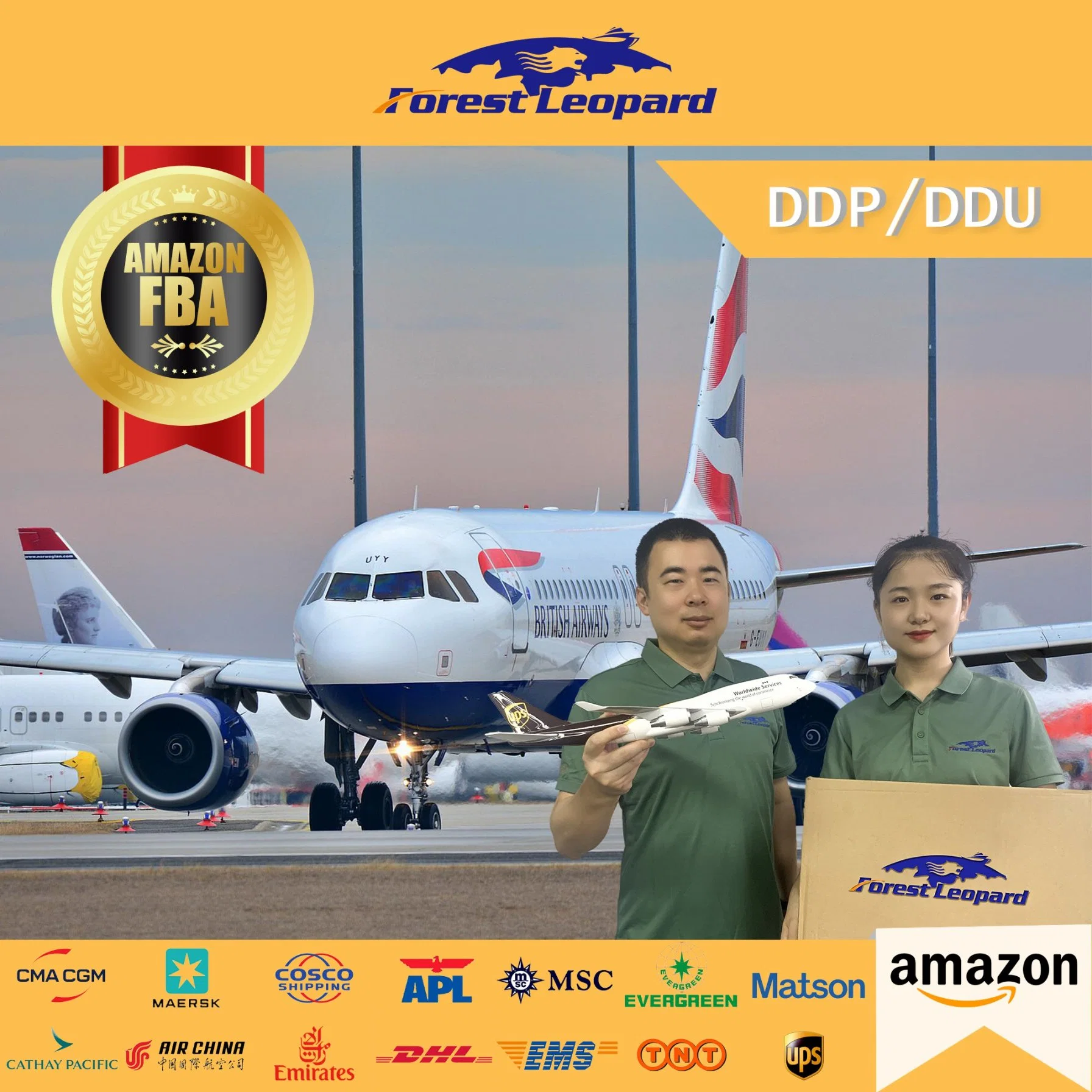Amazon Fba Services Air Shipping From China to USA Logistics Shipping Rates LCL DDP DDU Forestleopard