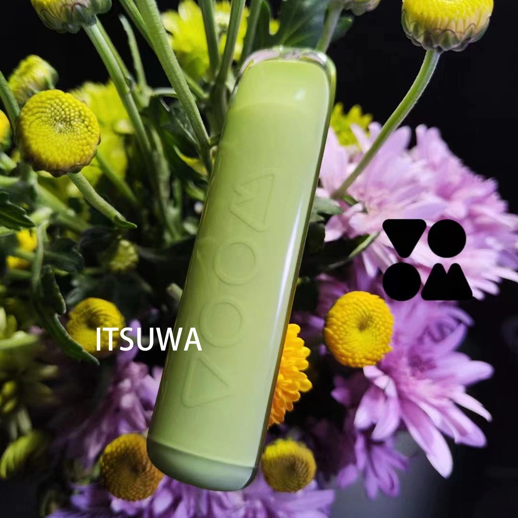 Itsuwa Voom Iris Mini Vapeador Electronic Vapw Liquid E Zigarett Puff Cigaretes