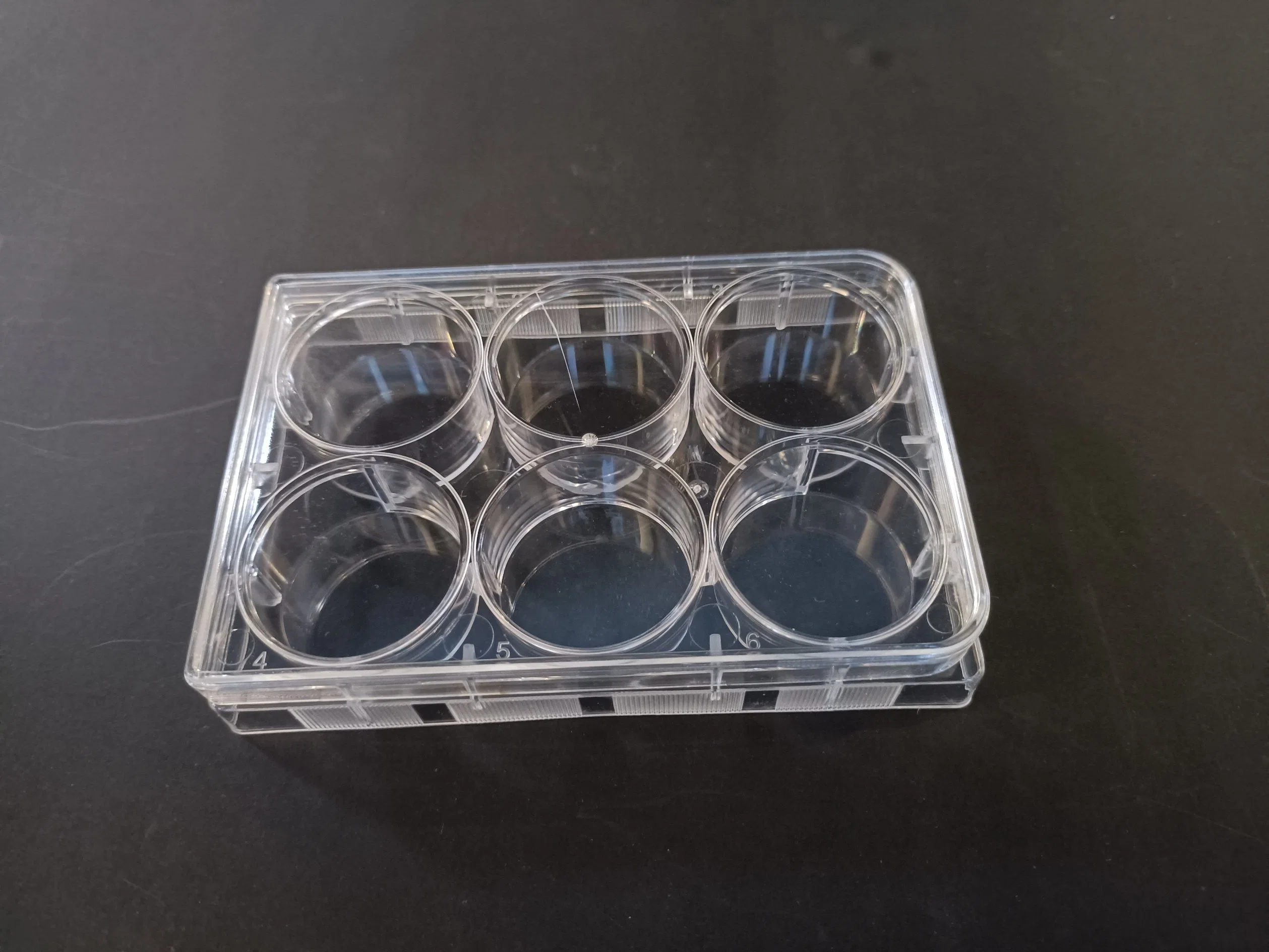 Wholesales Sterile 24 Wells Plastic Petri Plates for Cell Culture