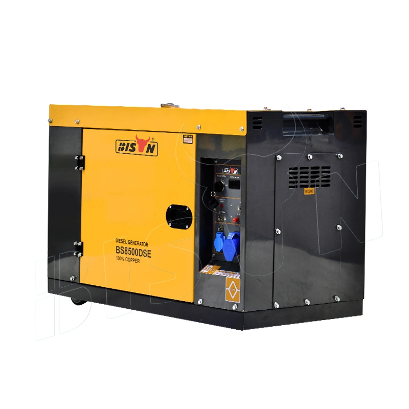 Bison (China) 7kw Diesel Generator 120V 240V Low Noise Silent Generator Set Genset