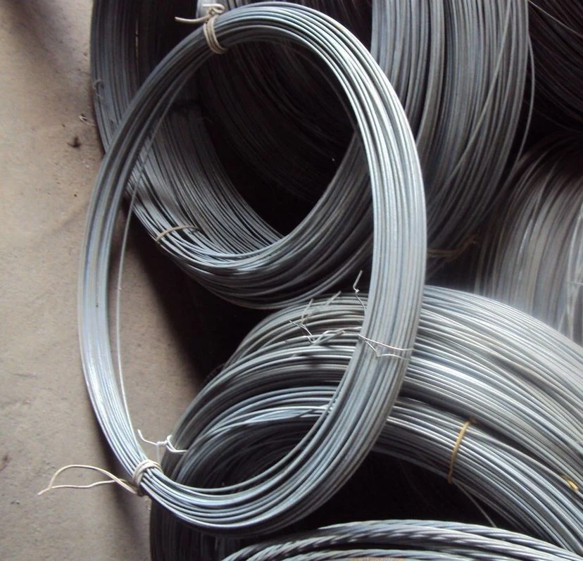 0.20-12.00 mm Wholesale/Supplier Galvanized Steel Wire&Spring Steel Wire