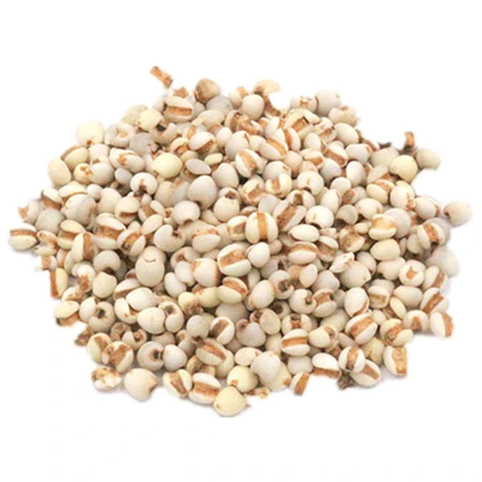 Wholesale/Supplier Chinese Herbal Medicine Dried Coix Seed