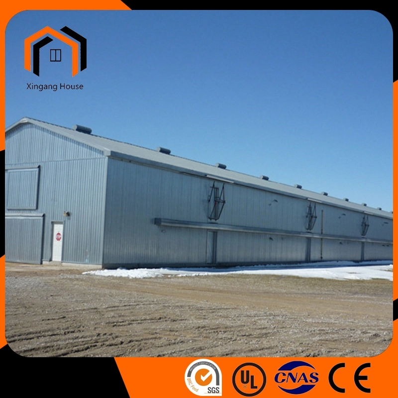 High quality/High cost performance  Sandwich Panel Color Tile Structural Steel Fabrication Egg Layer Farm House