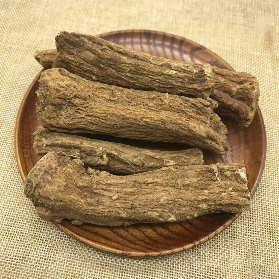 Wholesale Traditional Chinese Medicine Health Care Food Spice Costus Root