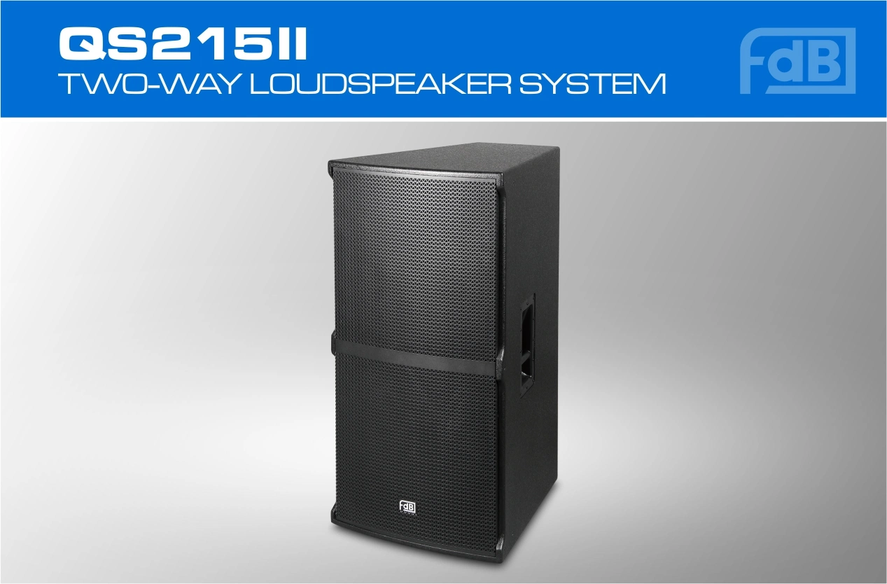 Professional Dual 15" Multi-Purpose Speaker