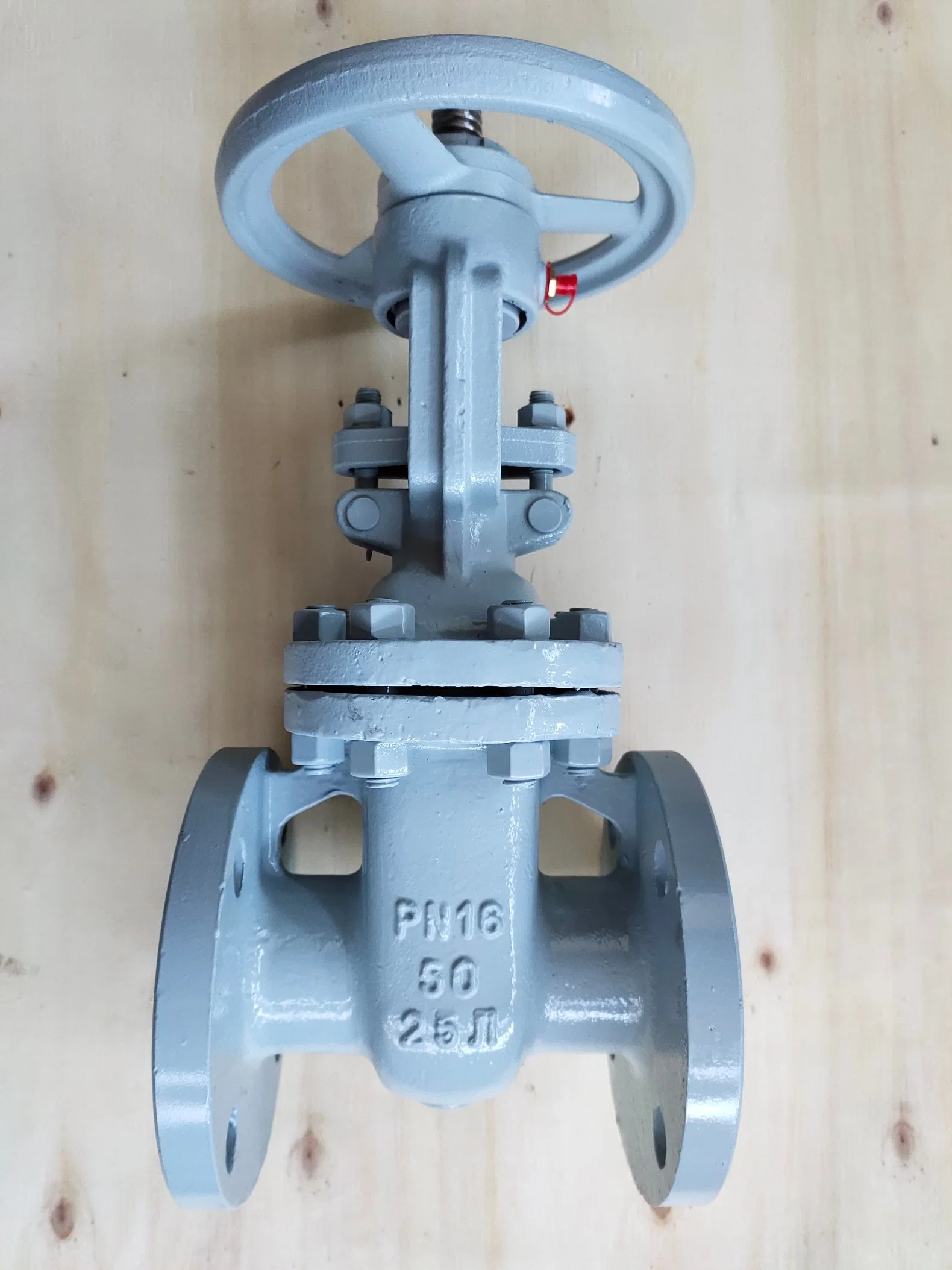 GOST Poud Grade Grey Iron Body Wedge Double Disc Flange Rising Copper Alloy Seal Gate Valve for Water Vapour