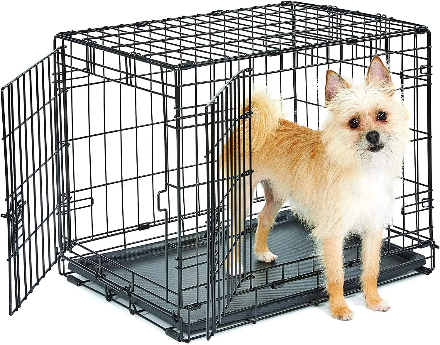 Haute qualité en acier inoxydable métal luxe petites cages d'affichage pour animaux de compagnie pliables pour chiens.