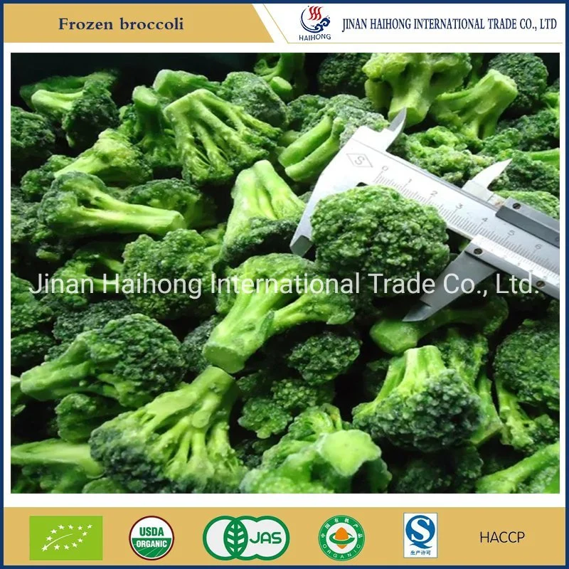 IQF Frozen Broccoli From China Supplier