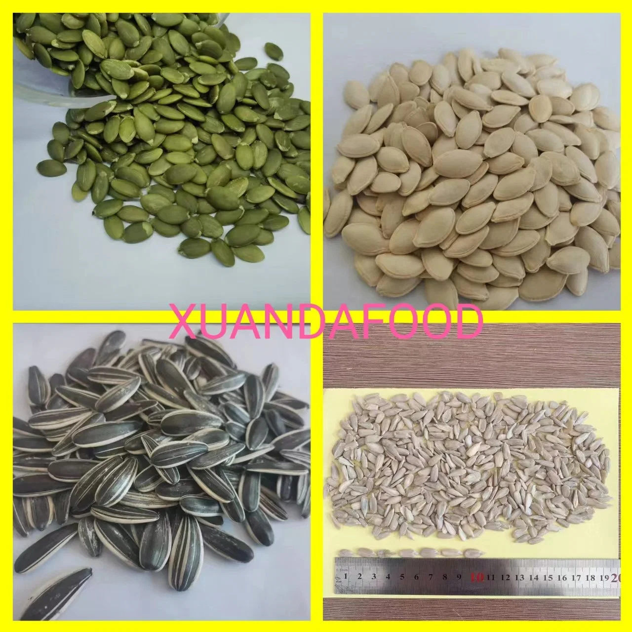 Fresh High-Quality Natural Raw Sunflower Seeds