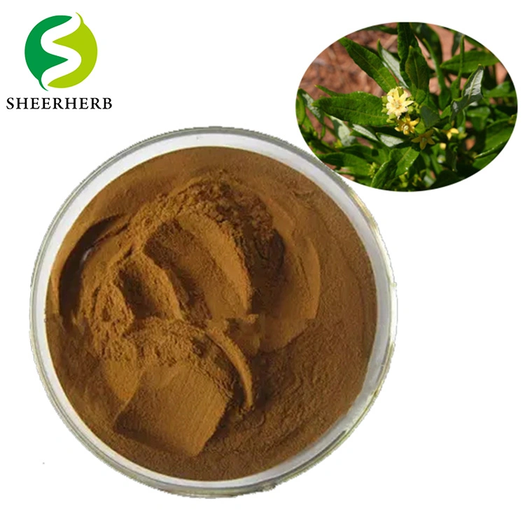 Extrait de Sheerherb Fadogia Agrestis/ Bakuchiol/ Bakuchiol 100 % Pure Fadogia Agrestis extraire