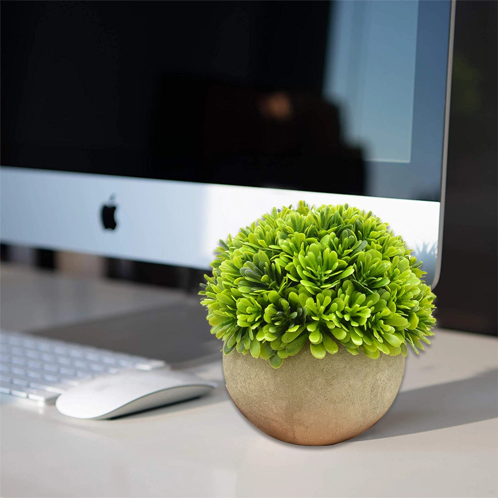 Natural verde preservado as esferas de buxo Topiary no Pot para decoração de mesa