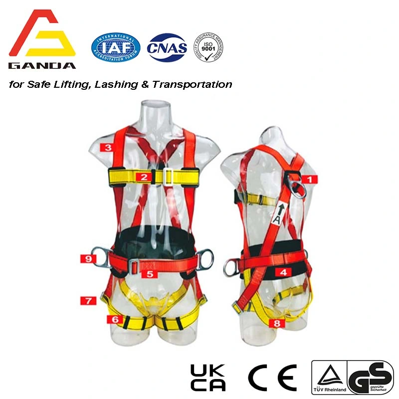 Supplier ANSI En361 Fall Protection Equipment High Workers Full Body Safety Harness Climbing Belt with Lanyard Certificate for Construction