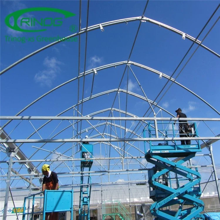 Agricultural Multi-Span Film Greenhouse with Quick Construction