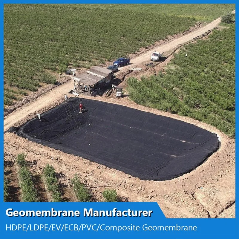 0,2 - 2mm géomembranes Film pour lac artificiel de la géomembrane HDPE Pond Liner