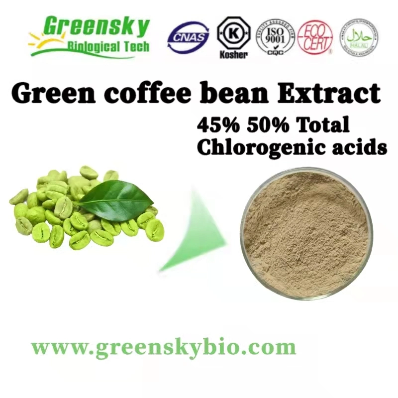 Green Coffee Bean Extract 45% 50% Total Chlorogenic Acids Light Yellow Brownish Powder Coffea Arabica L High Quality Plant Extract Herbal Extract Natural