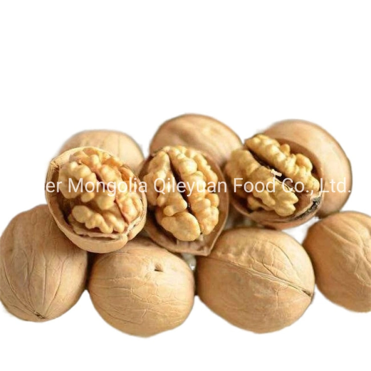 Factory Price Wholesale Chinese Dried Fruit Xier Walnut in-Shell