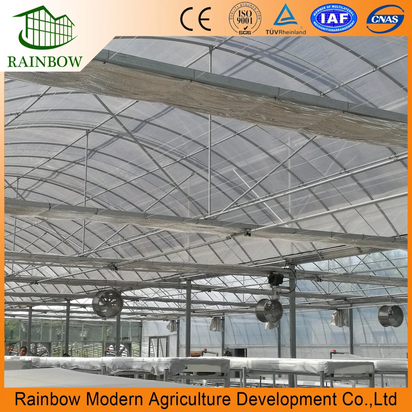 Multi-Span Poly Tunnel Film Greenhouse with Cooling System