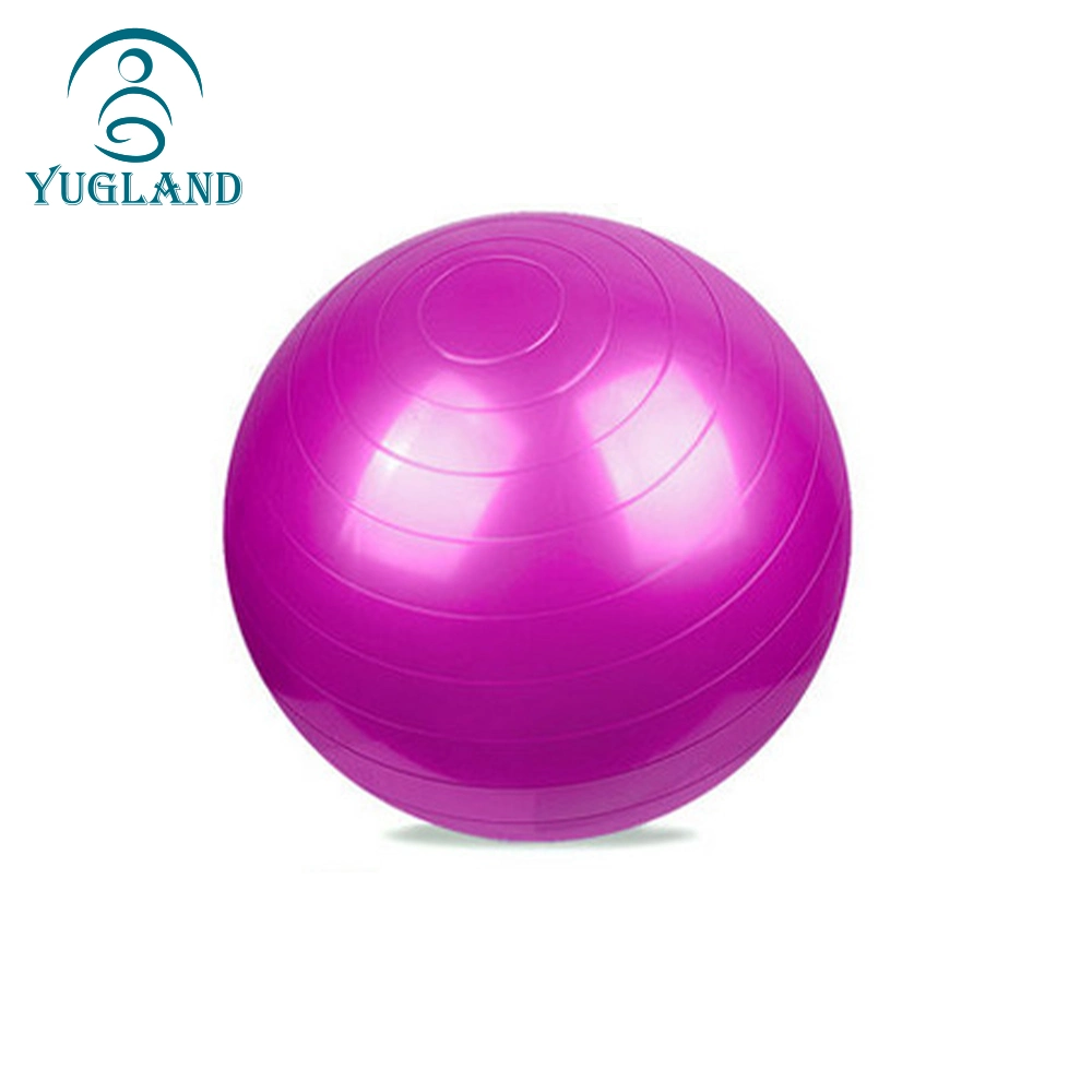 PVC Yoga Ball, Fitness Ball, Thickened Pilates Ball, Portable Yoga Ball