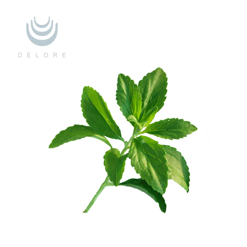 Stevia Reb-un 97% de azúcar en la Stevia la Stevia Extracto de la hoja 100% Natural extracto de hojas de Stevia Edulcorante Natural Stevioside Extracto de la hoja de Stevia Stevia extracto herbal