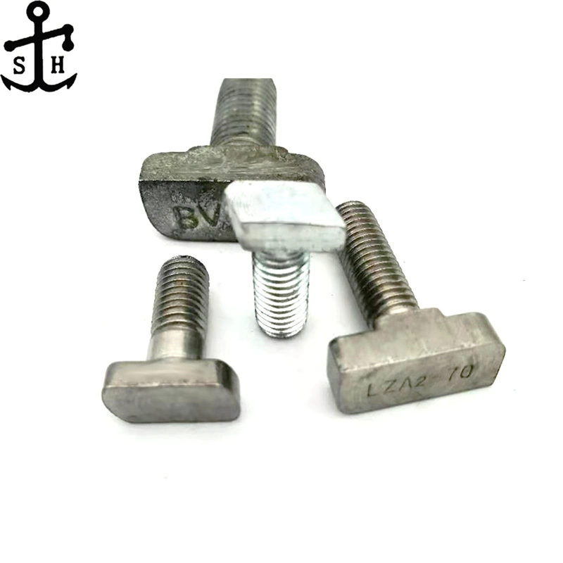 OEM Customized SUS304 Stainless Steel T Type T Shaped Square Head Machine Screw Bolt Made in China